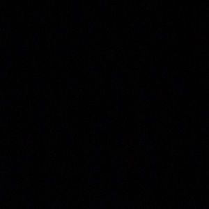 Meet your Posher, Ashlynn